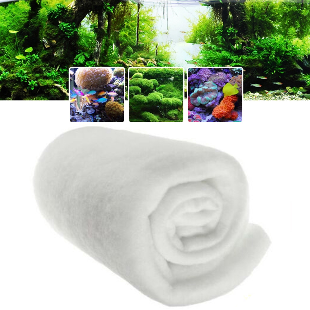 1PC Fish Tank 120cm X30cmx0.5c - Marine Aquarium Bacteria recensie en prijs