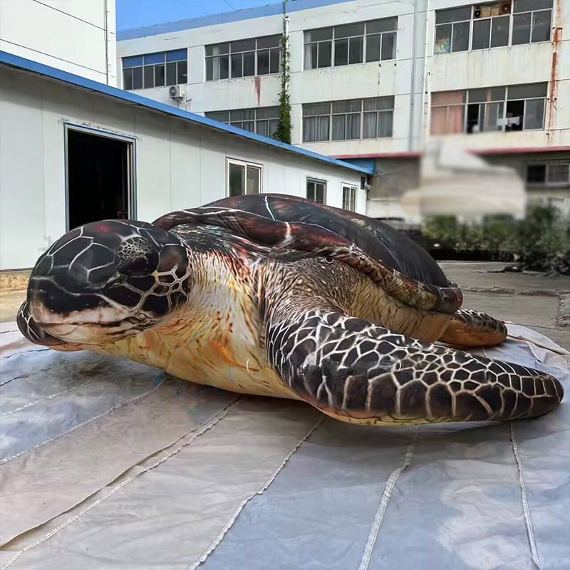 Inflatable sea turtles, Marine - Aquarium Marine Shop recensie en prijs