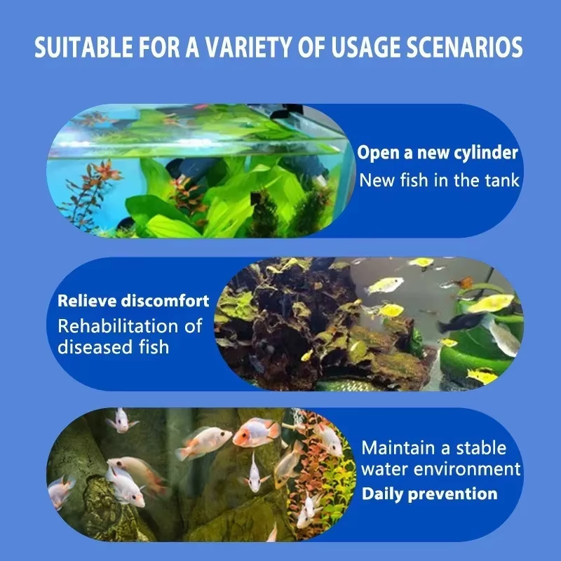 SIKEZHAN Fish Disease Treatmen - Marine Aquarium Bacteria recensie en prijs