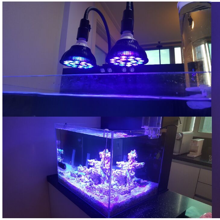 Free customize LED Aquarium li - Marine Aquarium With Sump recensie en prijs
