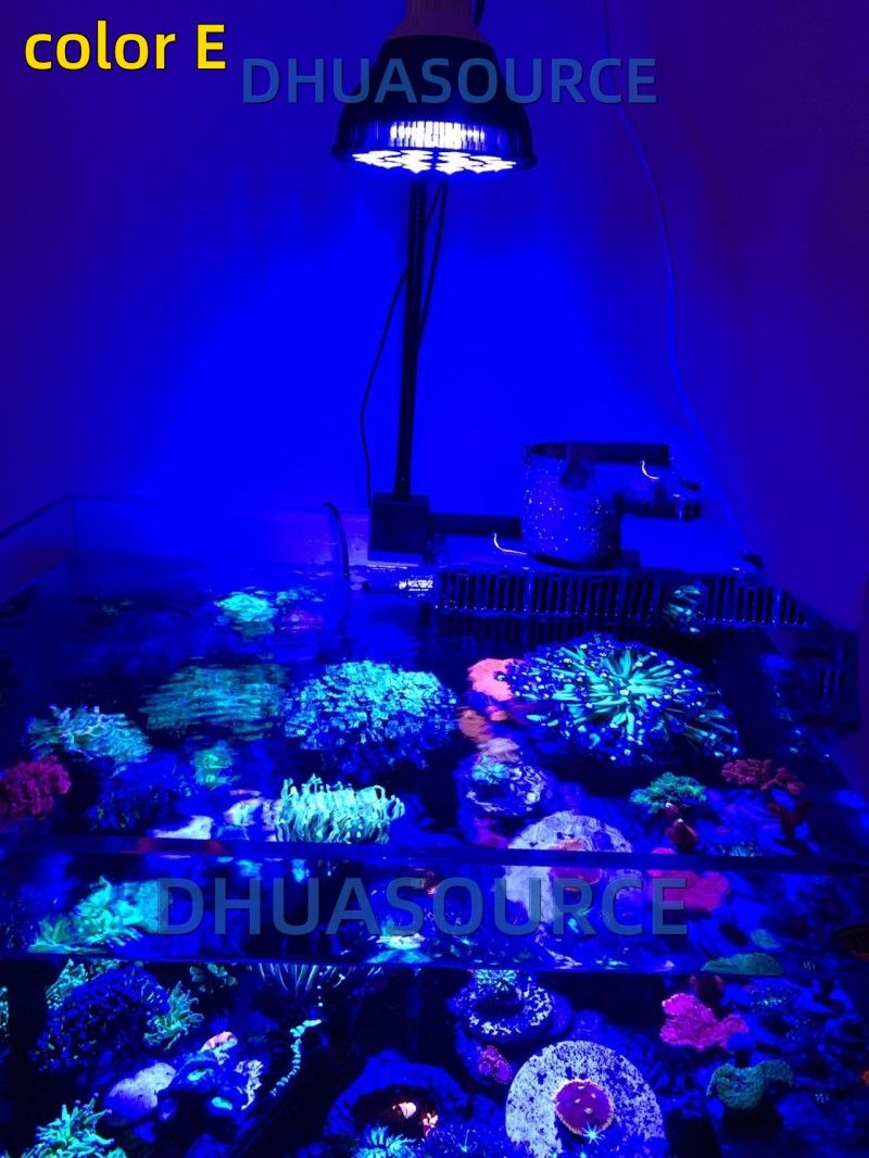 Free customize LED Aquarium li - Marine Aquarium With Sump recensie en prijs