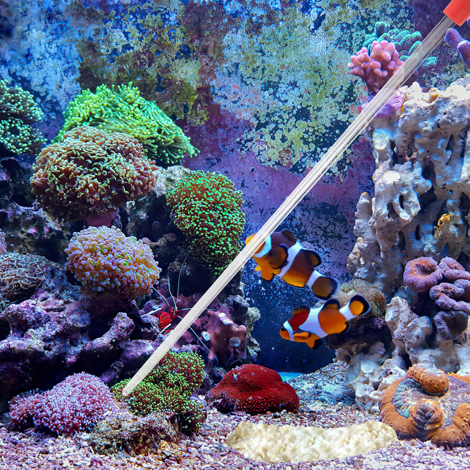 Marine Fish Feeding Tool Acryl - Marine Aquarium Youtube recensie en prijs