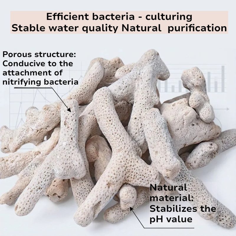 Natural Coral Bone Filter Medi - Calcium Reactor Media recensie en prijs