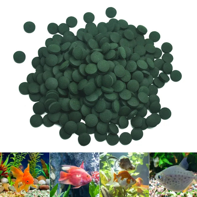 50-300Pcs High Purity Spirulin - Marine Aquarium Bacteria recensie en prijs