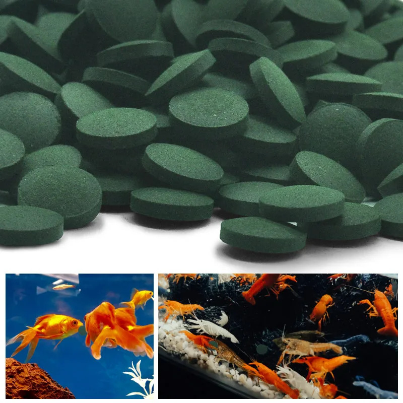 50-300Pcs High Purity Spirulin - Marine Aquarium Bacteria recensie en prijs