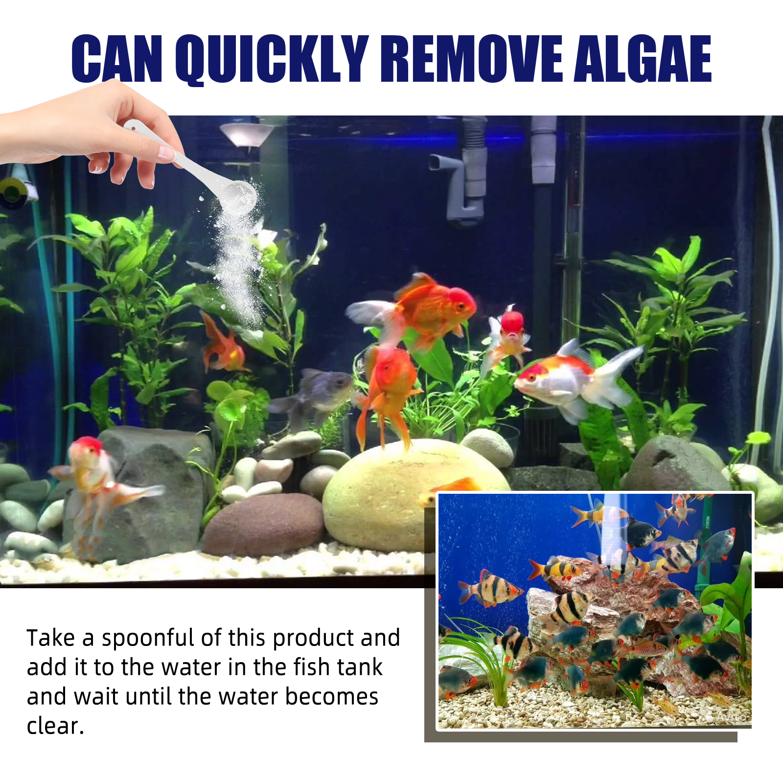 Algae Removal Quickly Removing - Marine Aquarium Bacteria recensie en prijs