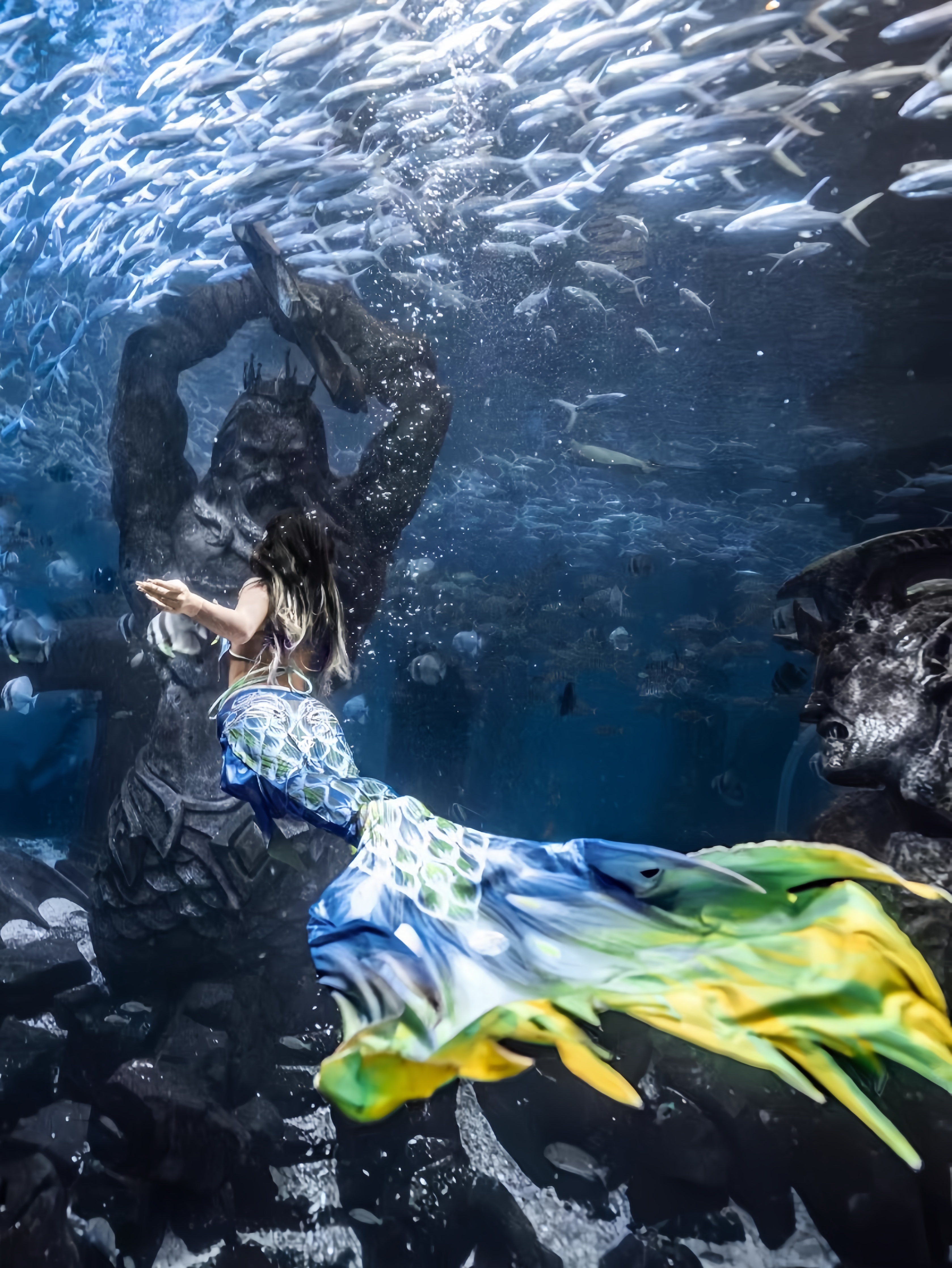 Mermaid Tail Adult Ladies Swim - Aquarium & Marine Museum Ums recensie en prijs